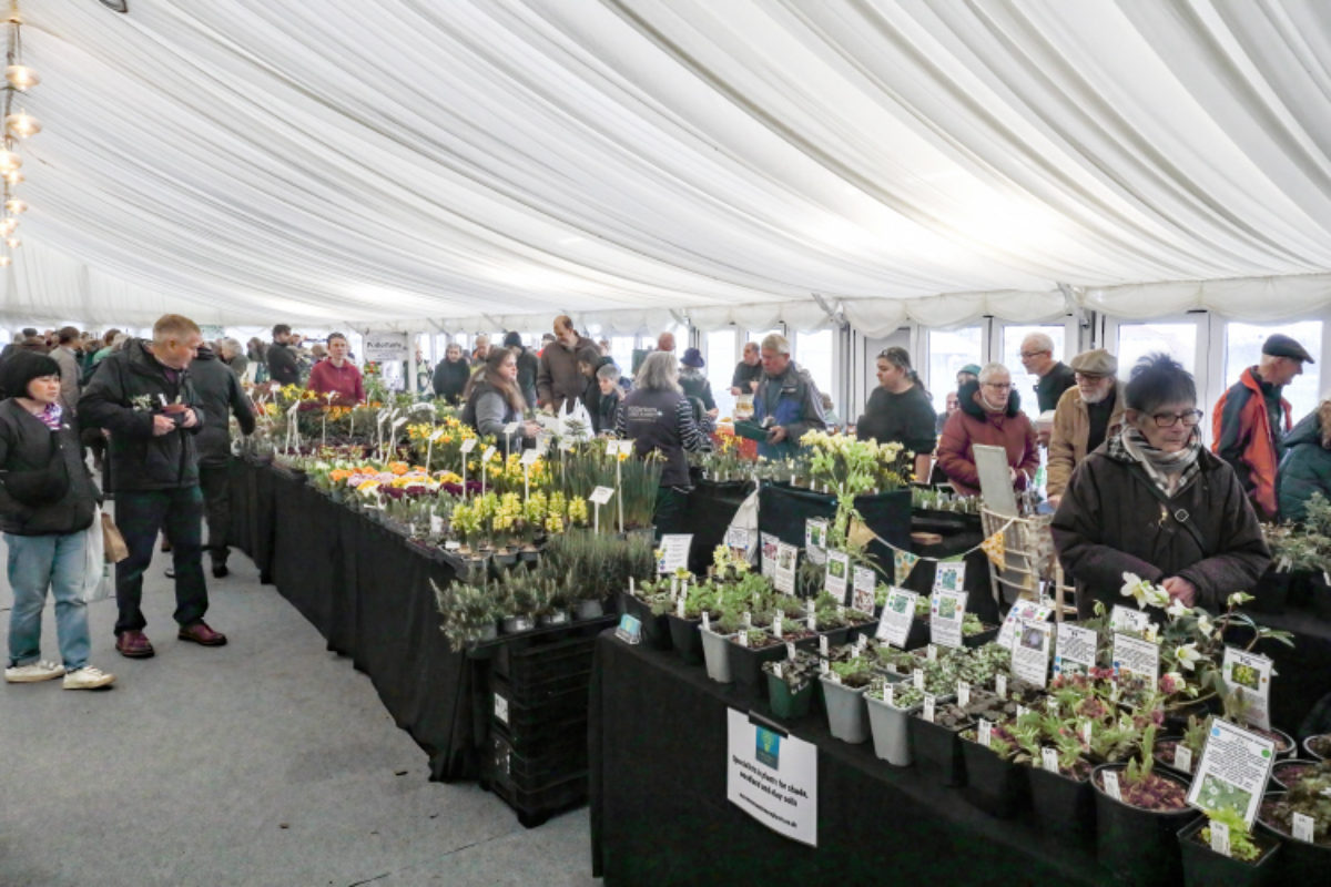 Early Spring Show Plant Sales